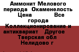 Аммонит Мелового периода. Окаменелость. › Цена ­ 2 800 - Все города Коллекционирование и антиквариат » Другое   . Тверская обл.,Нелидово г.